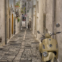 VESPA ALLEY by Roger Fountain
