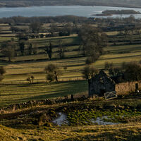 VIEW TOWARDS CARSINGTON WATER by Malcolm Sargent