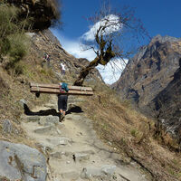 VILLAGER CARRIES TIMBER, NEPAL by Sue Hubbard