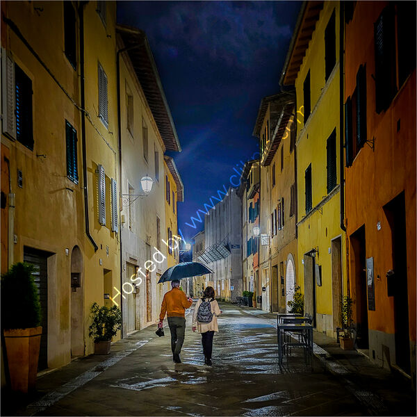 WALKING HOME by Ray Andrews