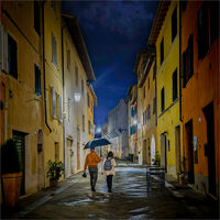 WALKING HOME by Ray Andrews