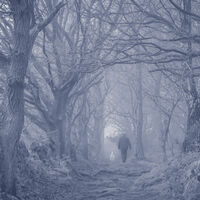 WALKING THE DOG by Chris Hall
