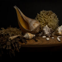 WASHED ASHORE by Neil Partridge