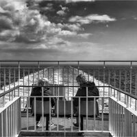 WATCHING THE LAND DISAPPEAR by Mark Constable