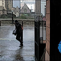 WATCHING THE RAIN by Alan Locke