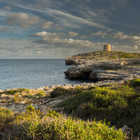 WATCHTOWER by Ray Worthy