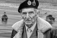 WE SHALL FIGHT ON THE BEACHES by Ralph Willis