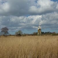 WINDMILL, NORFOLK by Sue Hubbard