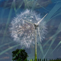 WIND MULTIPLE EXPOSURE by Malcolm Sargent