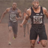 WINNER TAKES ALL by David White