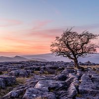 WINSKILL STONES by Chris Hall