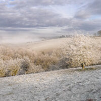 WINTER'S BEAUTY by Christine Maughan