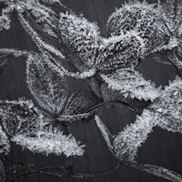 WINTER'S HARSH GRIP by Christine Maughan