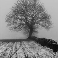 WINTER'S MORNING by Sam Ruth