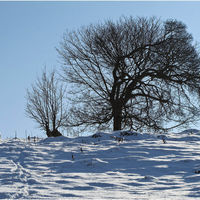 WINTER by Mick Smith