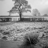 WINTRY MORNING by Brenda Howard