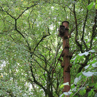 WOODLAND AND TRAIN MAST by Jack Boyd