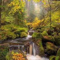 WYMING BROOK by Chris Hall