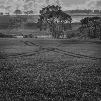 X MARKS THE SPOT by Malcolm Sargent