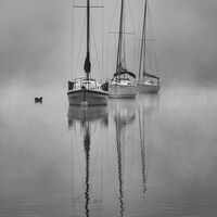 YACHTS ON A MISTY LAKE