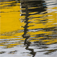 YELLOW REFLECTION by Gill Dishart