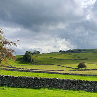 YORKSHIRE GREEN by Marlon Richards