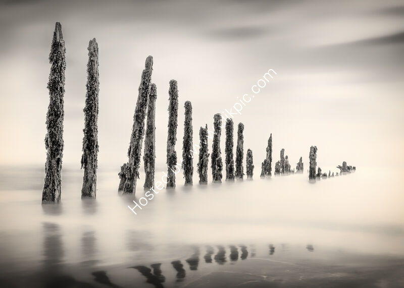 YOU THERE STAND UP STRAIGHT by Richard Bower
