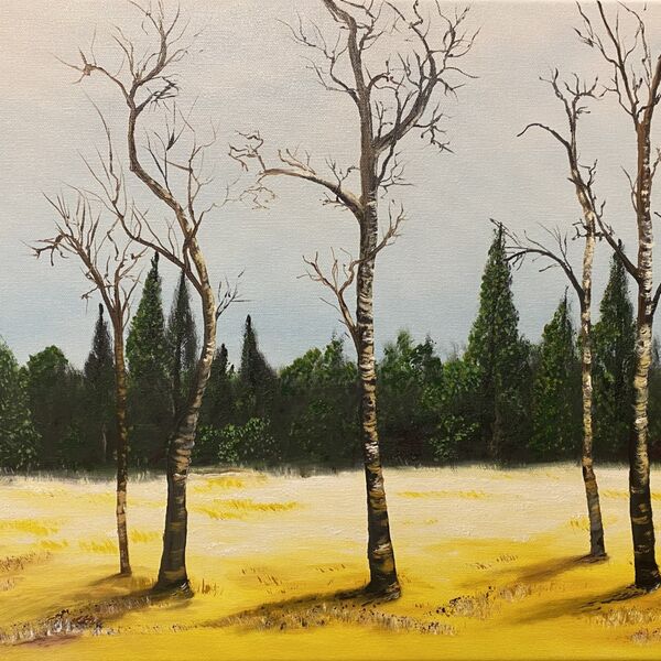 Oil painting - Winter Birch