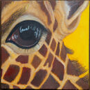 Endangered! Rothschild's Giraffe