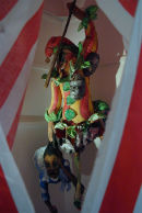 The Universal Bully.