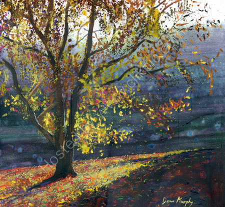 Autumn Sunlit Tree £495