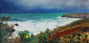 ... Autumn clifftop Trebarwith £1150