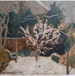 Apricot Blossom In Snow