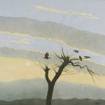 In my dreams the birds are spirits of the dead. Not all are friendly so take care which tree you land in.