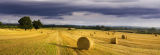 Harvest Time in Farnsfield