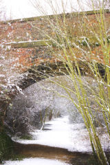 Snowy scene on the Southwell trail