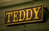 'TEDDY'