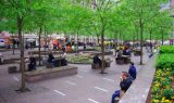 NYC-park