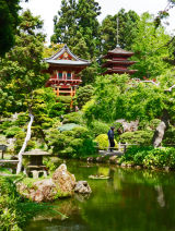 japanese-garden,-san-francisco