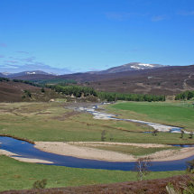 Allanaquoich Royal Deeside