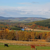 Potarch Bridge