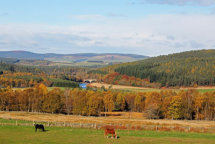 River Dee at Potarch