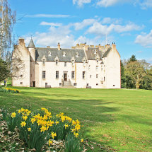 Spring at Drum Castle