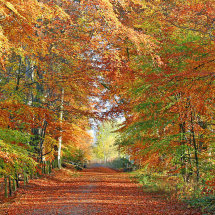 The Deeside Way