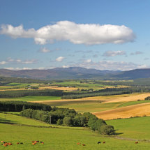 The Queen's View