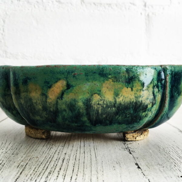 green and yellow small bonsai pot