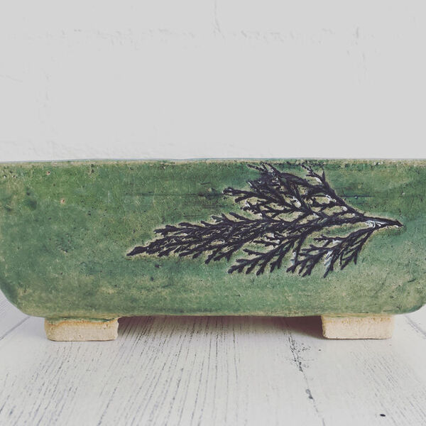 nature printed green glazed bonsai pot by dei ceramics