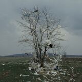 Still from the movie "Depth Two" by Ognjen Glavonic (2016)