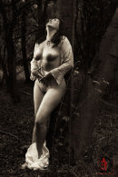 Victorian Lady In The Rain