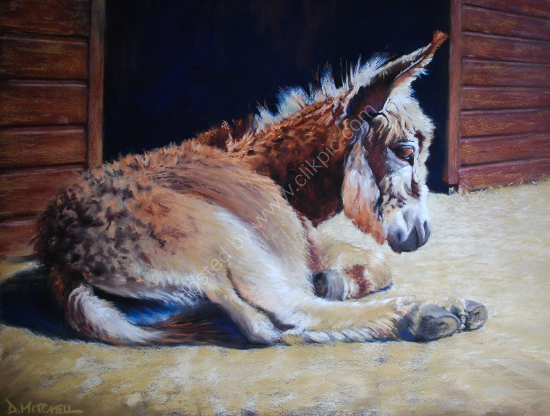 A Donkey's Rest (SOLD)